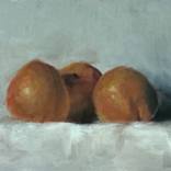 Apricots by Kathleen Allen