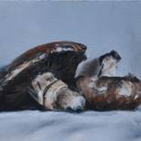 Portabella Mushrooms by Kathleen Allen