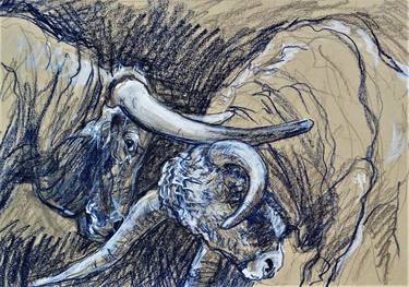 Original Expressionism Animal Drawings by Svetlana Catif-Filonova