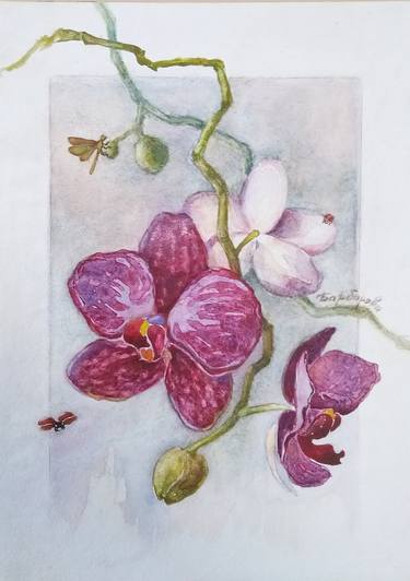 Print of Fine Art Botanic Paintings by Marianna Barbarova