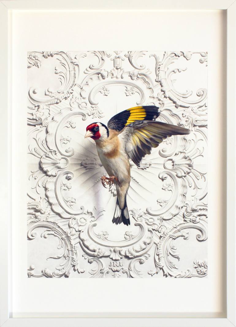 Original Photorealism Animal Drawing by Javier Ramos Julián