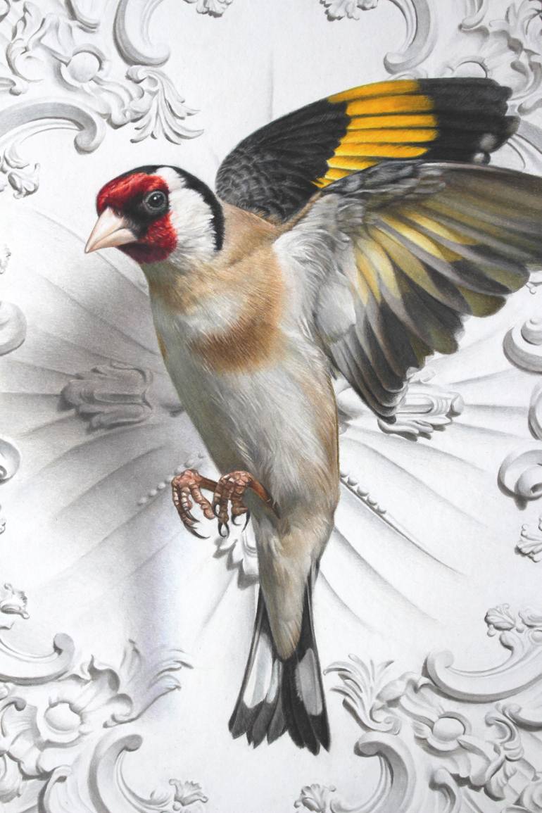 Original Photorealism Animal Drawing by Javier Ramos Julián
