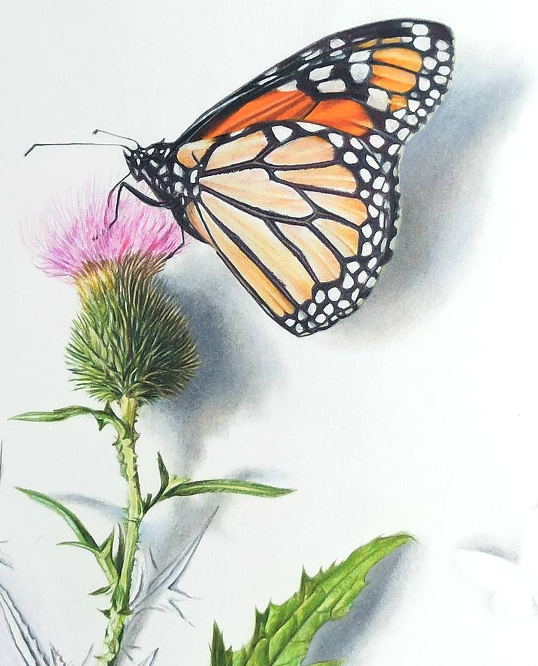 Original Figurative Botanic Drawing by Javier Ramos Julián