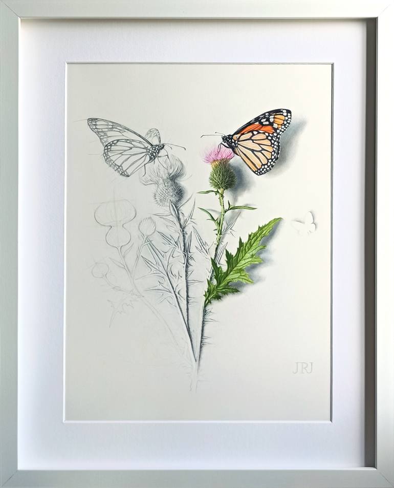 Original Figurative Botanic Drawing by Javier Ramos Julián