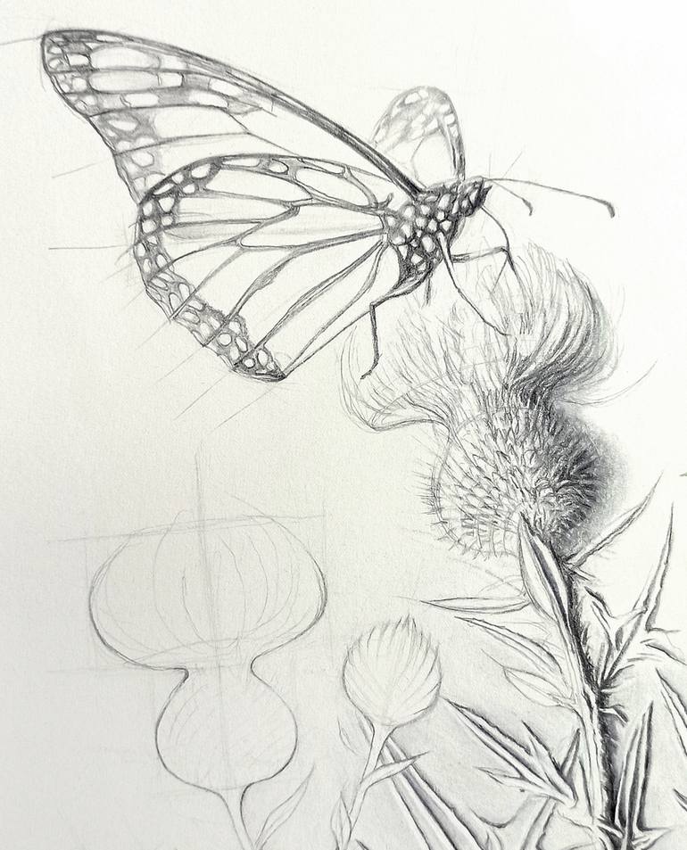 Original Figurative Botanic Drawing by Javier Ramos Julián