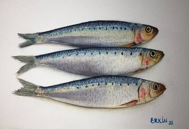 Print of Realism Fish Paintings by Erkin Yılmaz