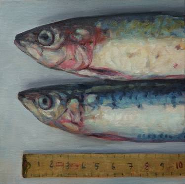 Original Fish Paintings by Luke Morgan