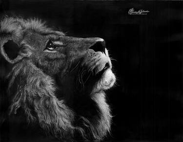 Original Fine Art Animal Drawing by Rakesh Shende