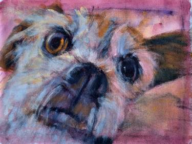 Original Expressionism Dogs Paintings by Frederick Hurd