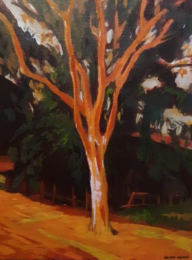 Original Documentary Tree Paintings by Frederick Hurd