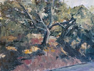 Original Expressionism Tree Paintings by Frederick Hurd