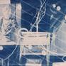 Collection Cyanotype Art