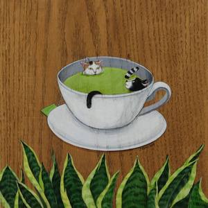 Collection Feline Fascinations