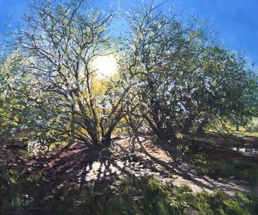 Original Tree Paintings by Mark McLaughlin
