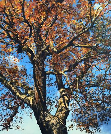 Autumn Oak thumb