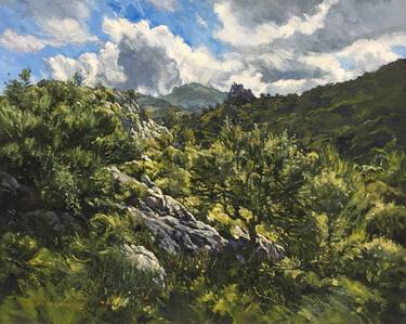 Original Landscape Paintings by Mark McLaughlin