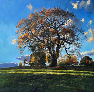 Autumn Oak, late afternoon. thumb