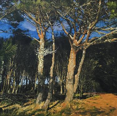 Original Tree Paintings by Mark McLaughlin