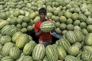 Watermelon thumb