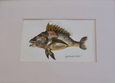 Original Figurative Fish Paintings by Lynda Miller Baker