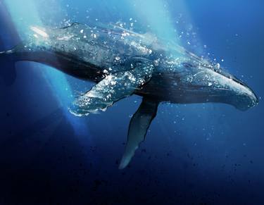crypto whale - limited edition of 10 fine art print thumb