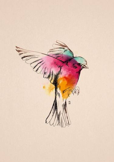 sparrow - Limited Edition of 10 fine art print (3/10) thumb