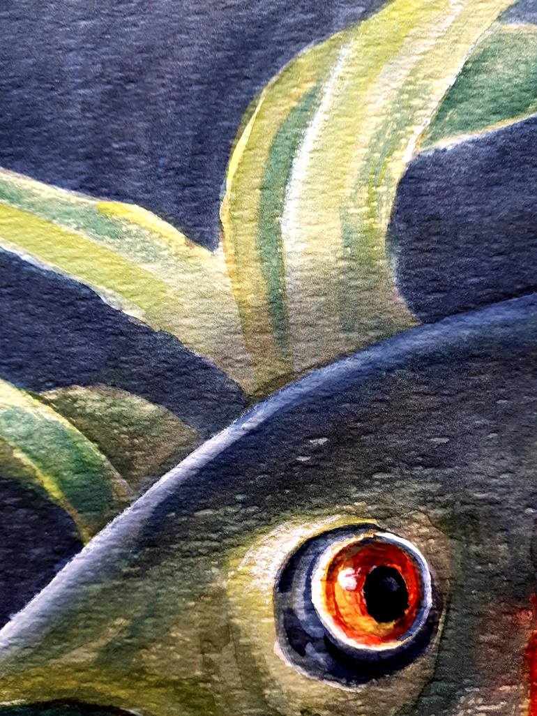 Original Fine Art Fish Painting by Tatyana Orlovetskaya