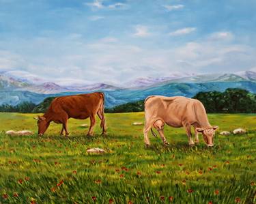 Cows in meadow thumb