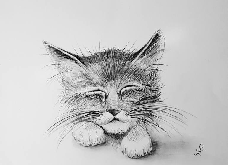 Pin by Nubiana Silva on Cães fofos  Cat drawing, Animal drawings, Kitten  drawing