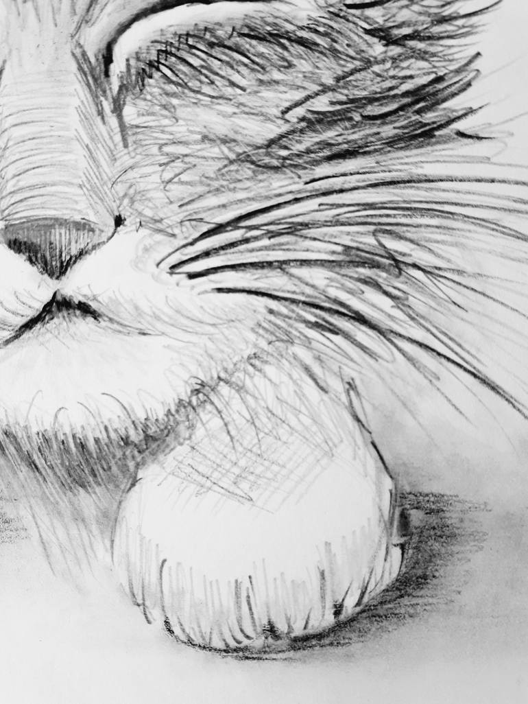 Original Fine Art Cats Drawing by Tatyana Orlovetskaya