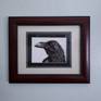 Drawing: Ink, Watercolor, Paper on Paper.
This is a portrait of the ever curious and intelligent Raven. Archival ink on 140lb. cold-pressed watercolor paper. Artwork comes in a 17" x 14" frame with a double mat behind glass.
From a short series of bird portraits completed over the summer of 2019. Each portrait gives the animal its own unique expression and attitude. Collect a few to make a set of friends!