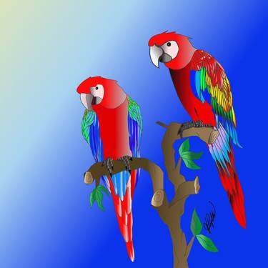 Macaws thumb