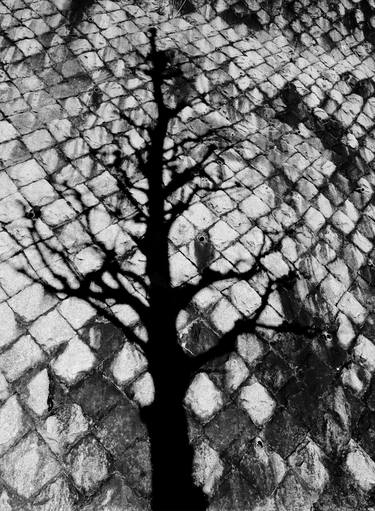 Original Abstract Architecture Photography by Emme Pons