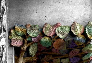 Print of Floral Photography by Emme Pons