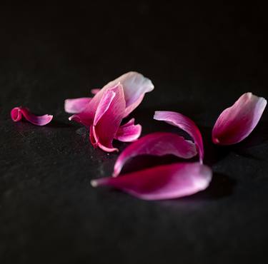 Print of Art Deco Floral Photography by sven ahlborn