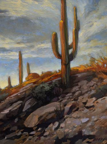 Saguaro Sunset, Tucson Arizona thumb