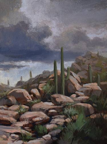 Saguaro National Monument East Overcast, Tucson Arizona thumb