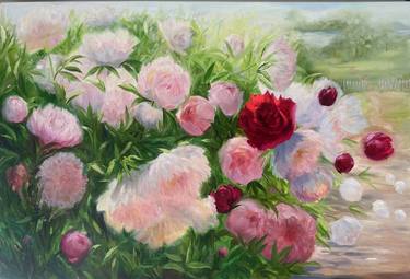 Peonies in sunshine thumb