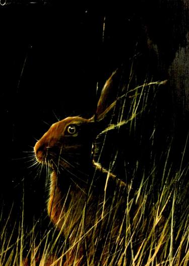 Original Animal Paintings by Christopher E Fry