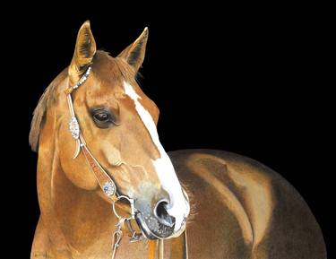 Original Horse Drawing by Ricky Hill