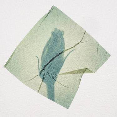 Dragon Flower, polaroid aesthetic. Polaroid manipulation fine art thumb