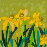 In the garden_Spring (Yellow Narcissus) by Mia Kim