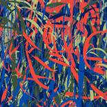 The Poetry of Reeds - Limited Edition of 10 by marya triandafellos