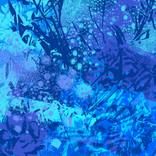 There's a Jungle Underwater - Limited Edition of 10 by marya triandafellos