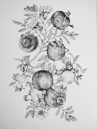 Original Fine Art Botanic Drawings by Lola Radjabova