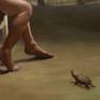 turtle looking up at woman on bench in garden