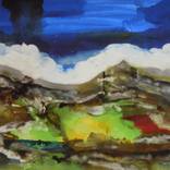 Collection Landscape
