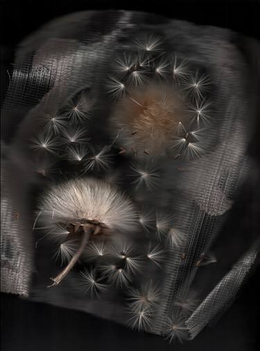 Saatchi Art Artist Deborah MacNeill; Photography, “"Cardus alpinae" Mt. Ventoux thistle II” #art