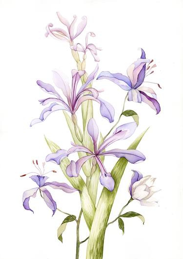 Original Botanic Painting by Anto ZV