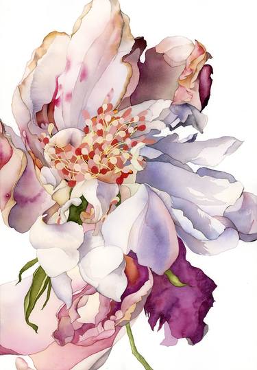 Original Floral Paintings by Anto ZV